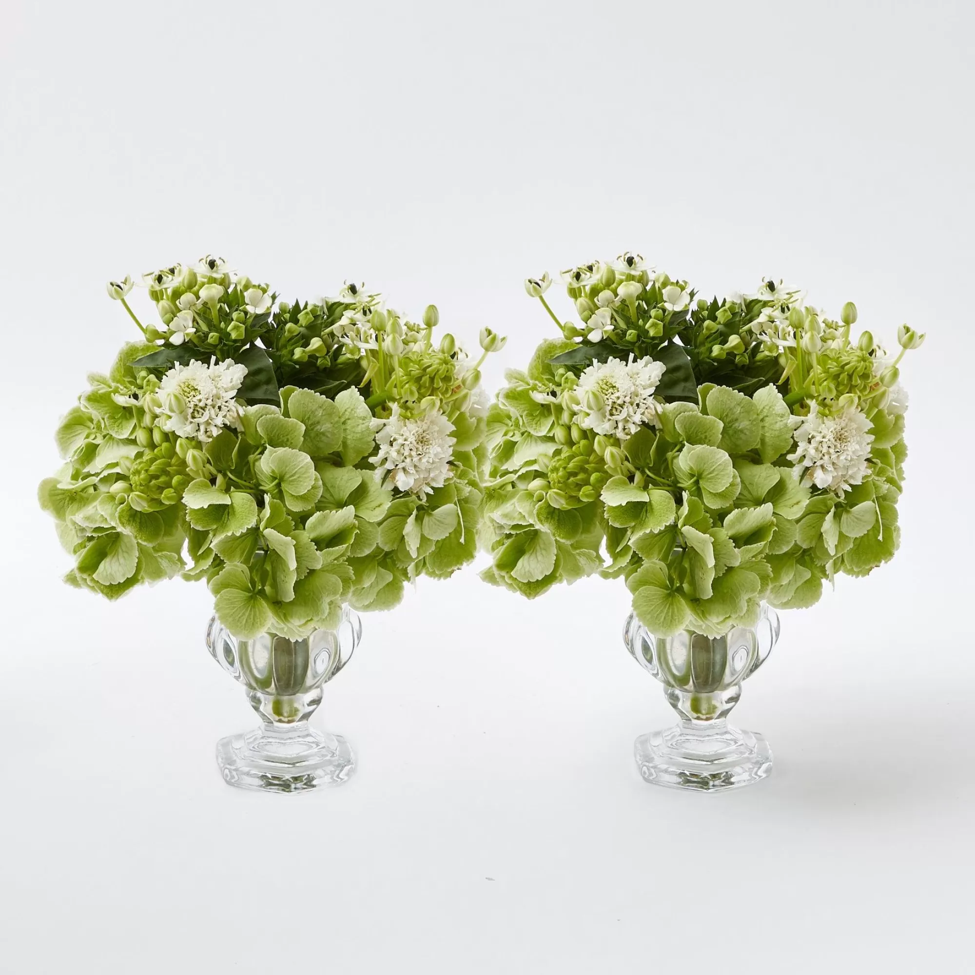 Online Delilah Vase (Pair) Vases