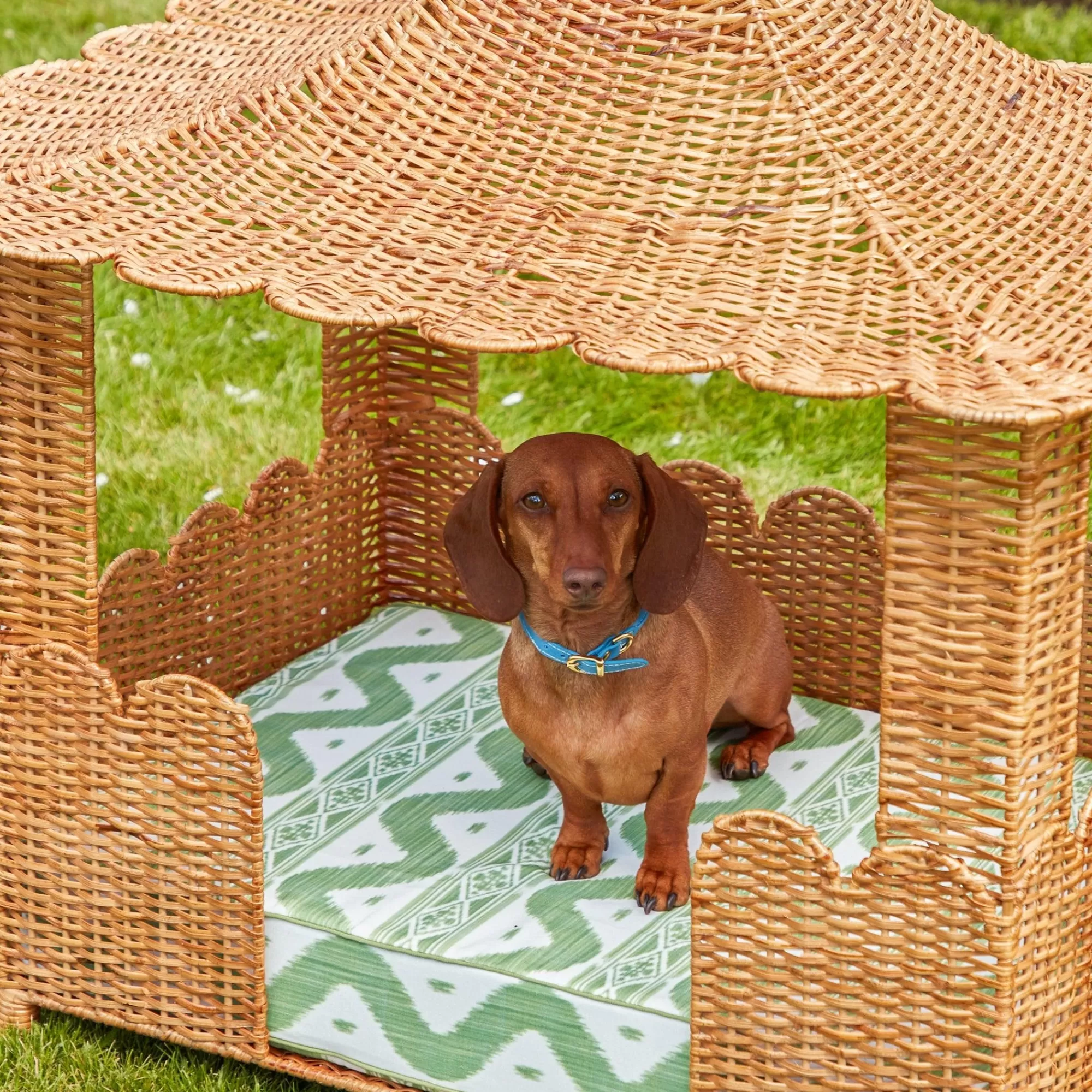 New Dorothy Pagoda Dog Bed Rattan Furniture