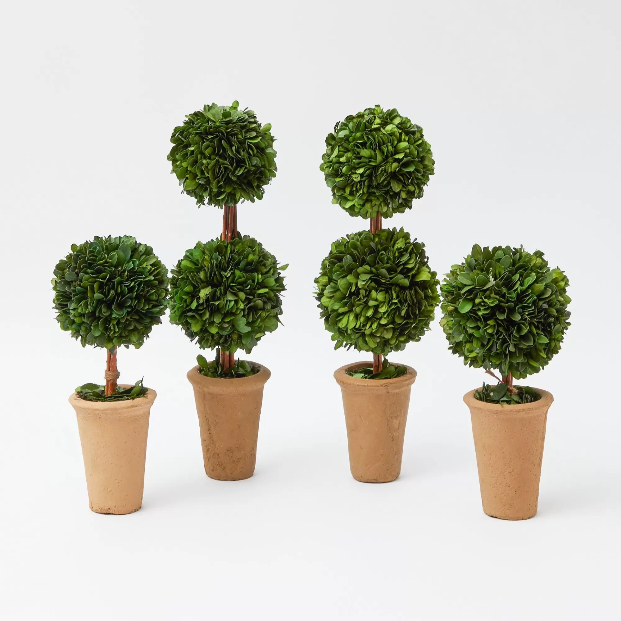 Online Potted Boxwood Decoration Set Decoration Sets