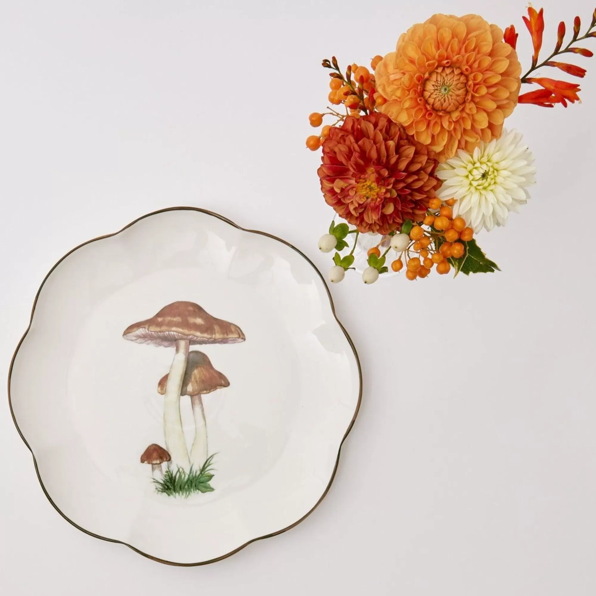 Shop Scalloped Mushroom Dinner Plate Dinner Plates