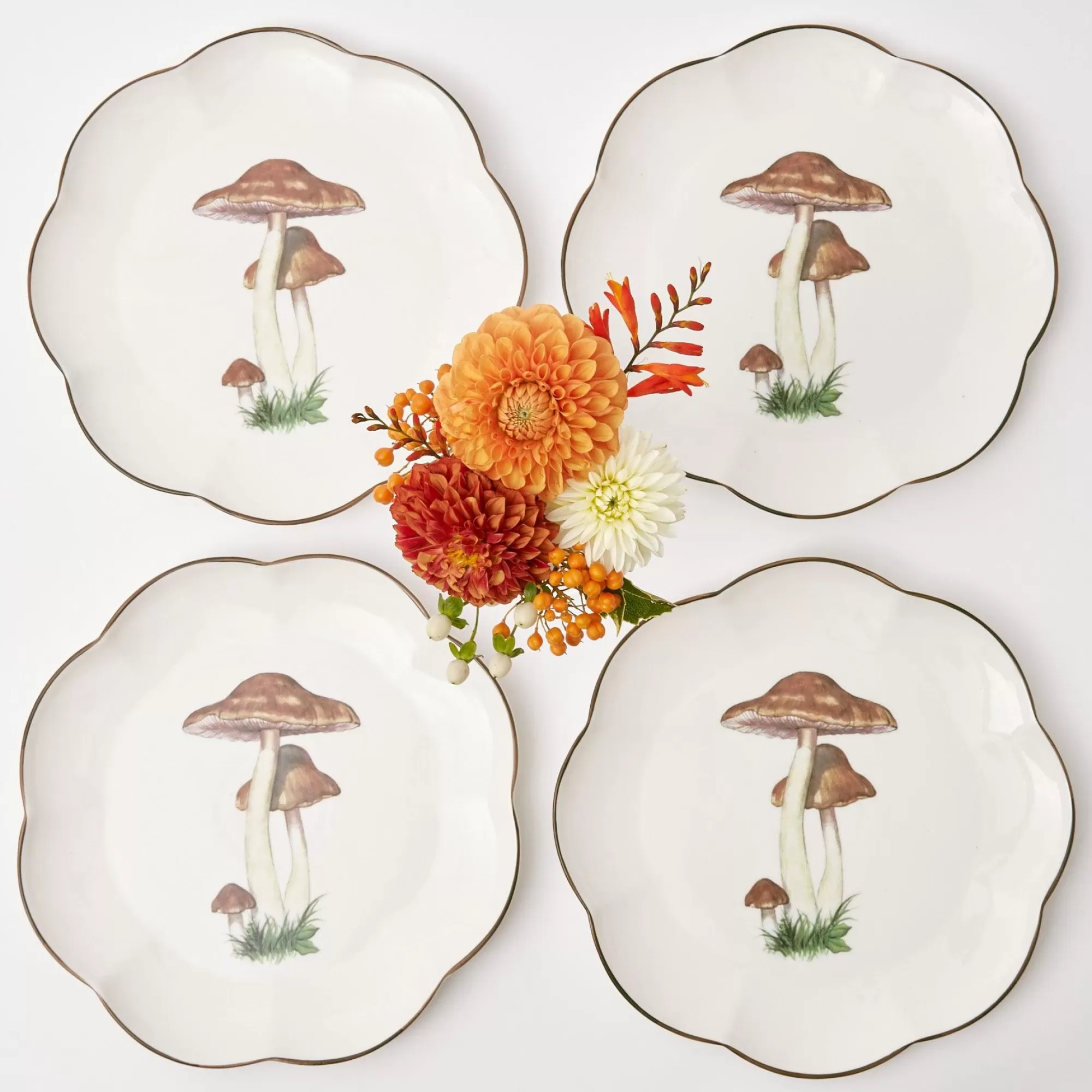 Best Sale Scalloped Mushroom Dinner Plate (Set Of 4) Crockery Sets