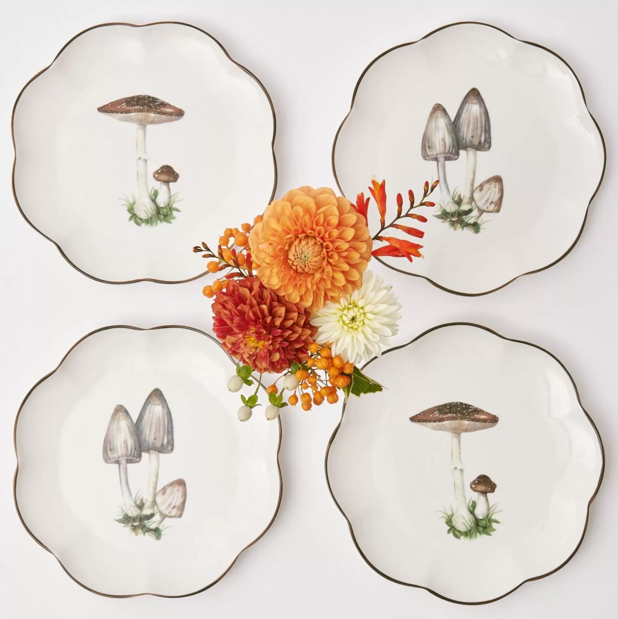 Hot Scalloped Mushroom Starter Plates (Set Of 4) Crockery Sets